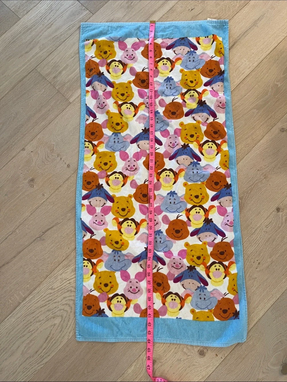 The Wonderful World of Disney Winnie The Pooh and Friends beach towel